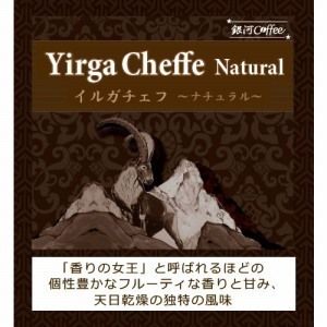 香りの女王(フルーティさNo1)「モカ イルガチェフ ナチュラル」(中煎り)エチオピア コチャレ農園