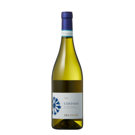 DBB0222/クストーザ 2022