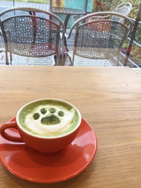 抹茶ラテ