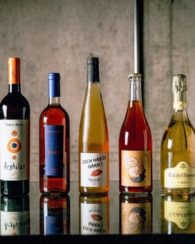 SP Party Plan WINE Free Flow 厳選ワイン飲み放題