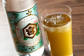 水出しほうじ茶ハイ