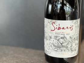 ハーフ　赤：シバリス レゼルバ・ピノ ノワール　375ml（チリ）