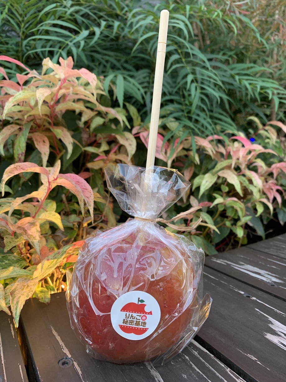 【テイクアウト】りんご飴（丸ごと）