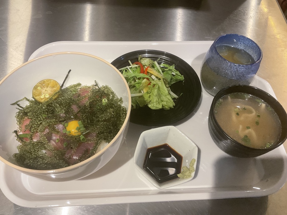 美ら海マグロ海ぶどう丼