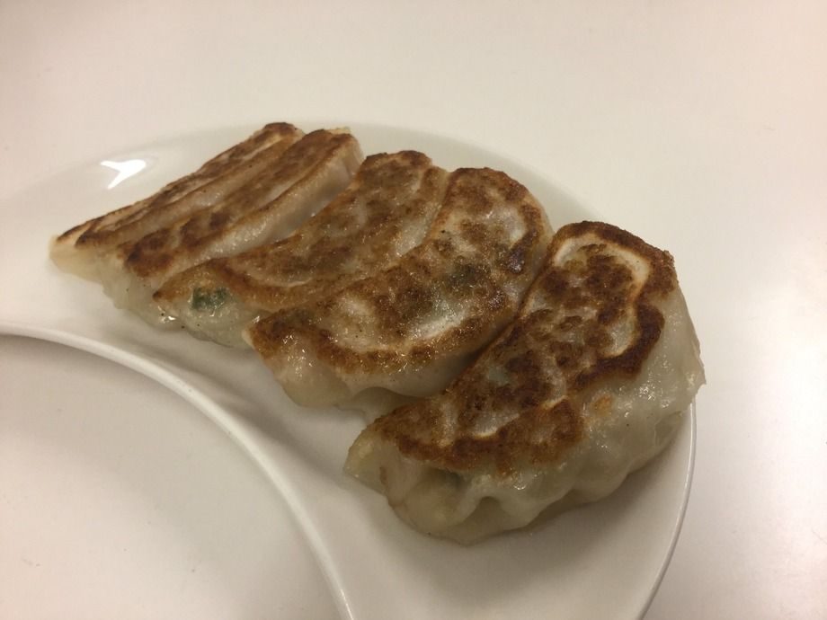 てっちゃん焼き餃子（5個）