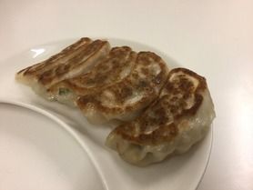 てっちゃん焼き餃子（5個）