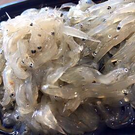 生しらす（山葵醤油）