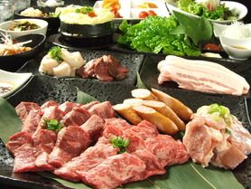 ◎女子会コース　　　　　（飲み放題付）全14品　　　キムチ盛合せ/ナムル盛合せ/サラダ/本日の一品2種/サムギョプサル/ハラミ/カルビ/四万十鶏のもも/ソーセージ/ホルモン2種/プチビビンバ/アイス　　　　　☆女子会はぜひ蔵人で！