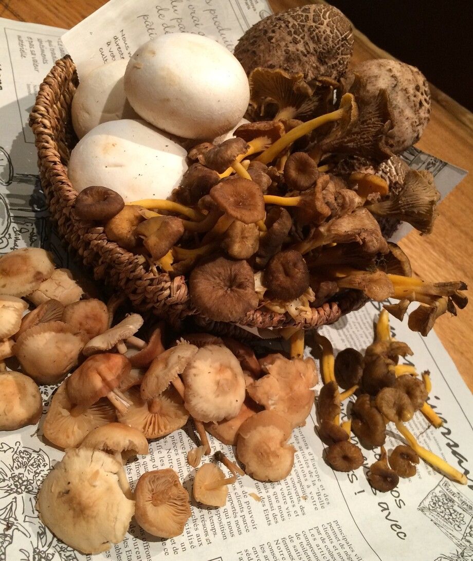 フランス産　森のキノコのポワレ