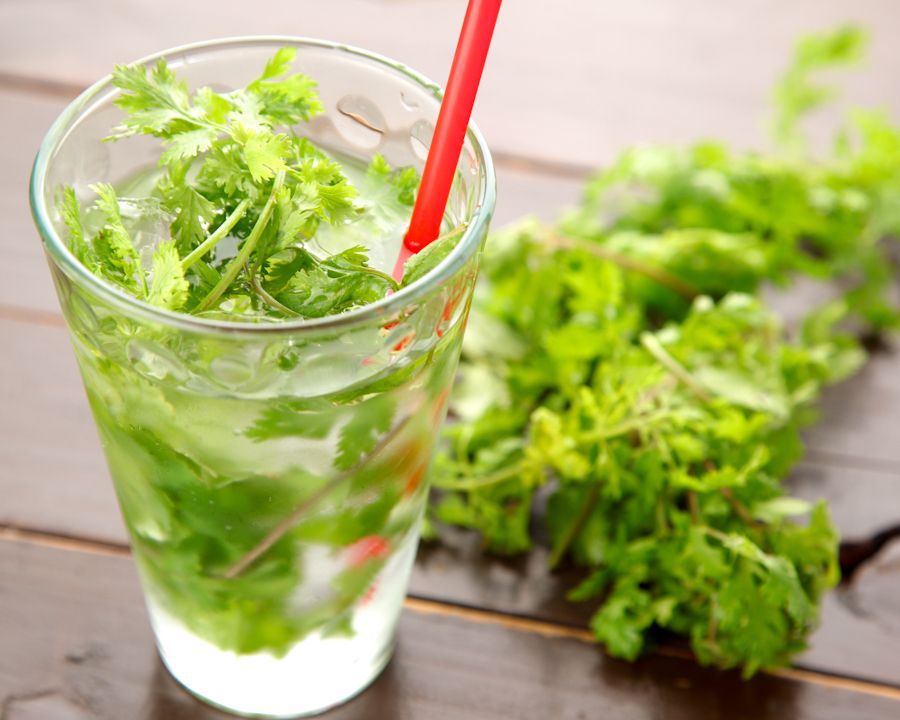 パクチーモヒート