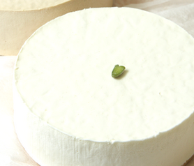 レアチーズプレーン