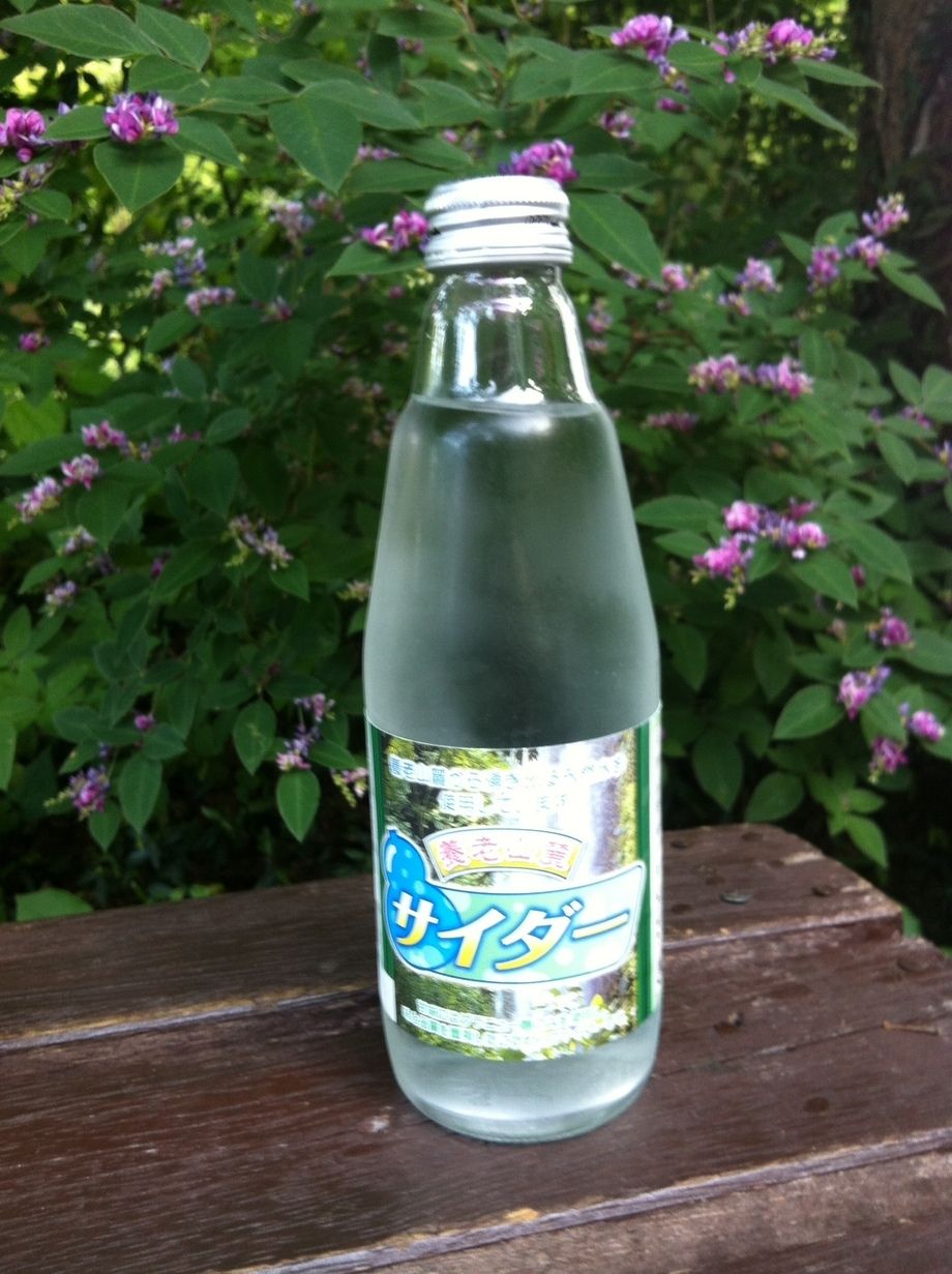 養老山麓サイダー（270円）