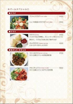 ネパールスペシャル　サラダ他
