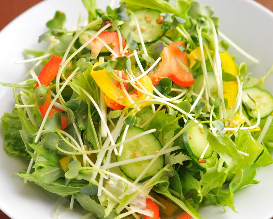 チョレギサラダ（680円）