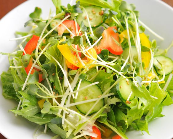 チョレギサラダ