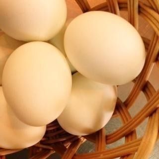 ゆで卵    昔からあるゆで卵。むいてあったらつまらない。自分でむくから楽しい。