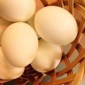 ゆで卵    昔からあるゆで卵。むいてあったらつまらない。自分でむくから楽しい。