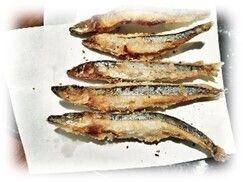 阿久根きびなご唐揚げ（３３３円(360円)）