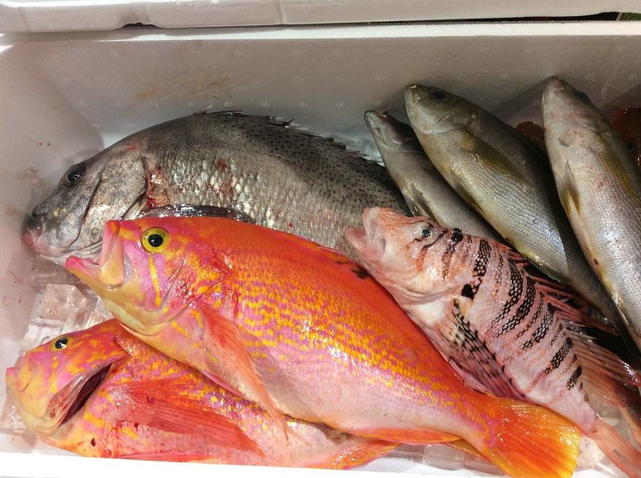 漁港直送お造り盛り