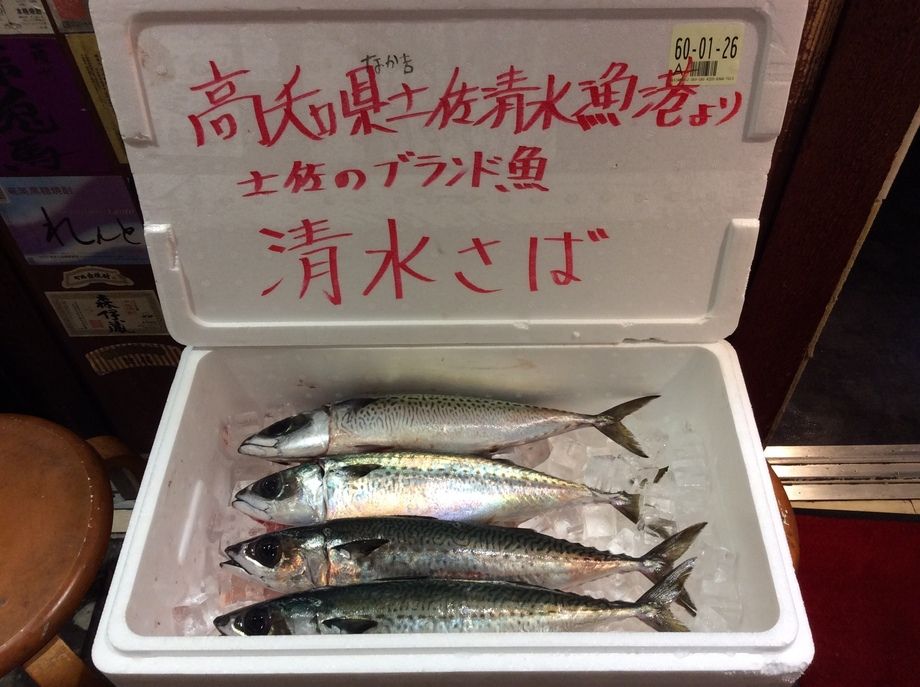 清水さば炙り〆鯖