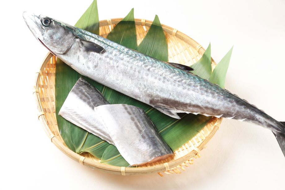 鰆(サワラ)の焼き霜造り