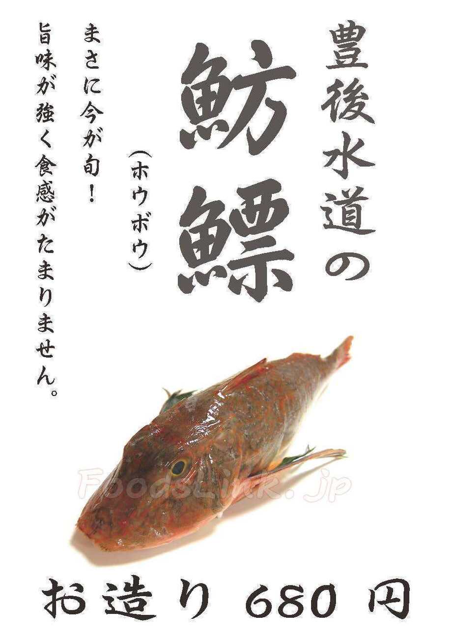 魴ぼう(ホウボウ)のお造り