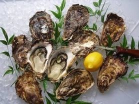 生牡蠣各種all¥430