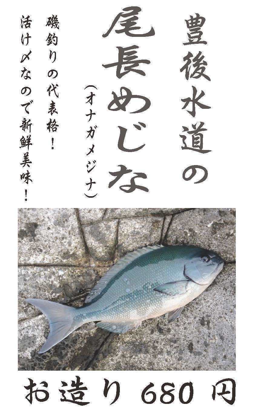 尾長めじなのお造り