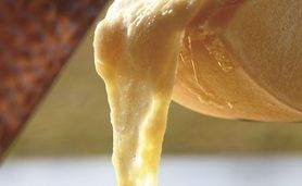 彩り野菜のラクレットチーズがけ