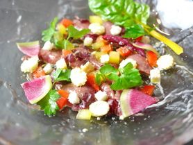 レバッチョ No.36