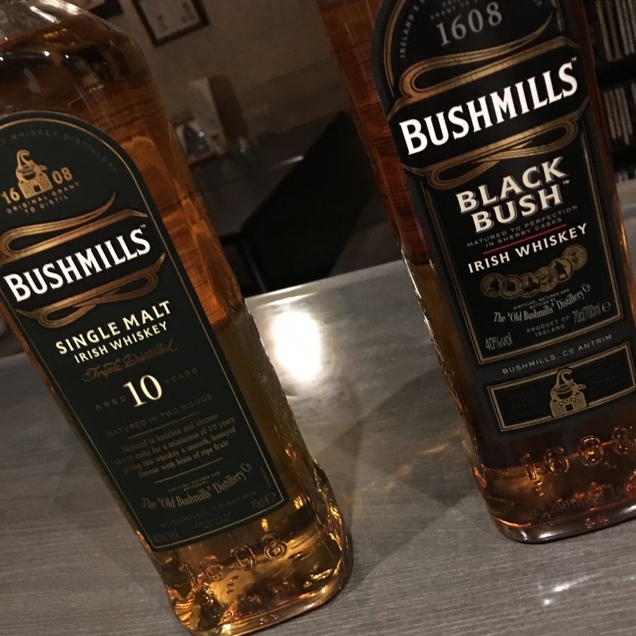 新入荷  Bush Mills Single Malt 10y（¥1600）