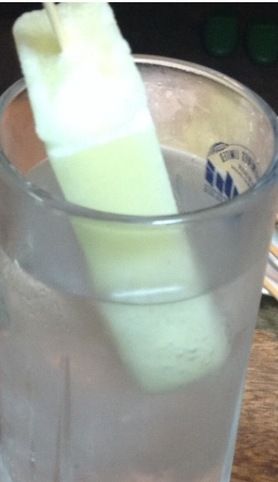 ガリガリ君サワー