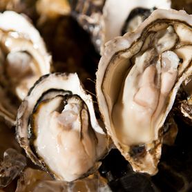 ■仙鳳趾(北海道釧路群釧路町昆布森)