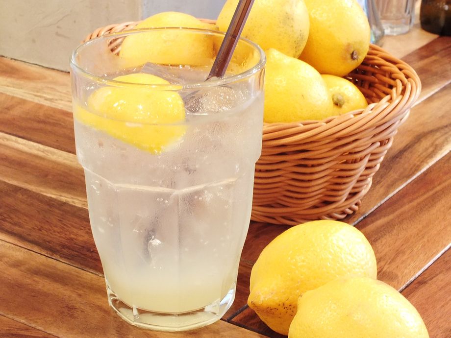 レモンサワー（480）
