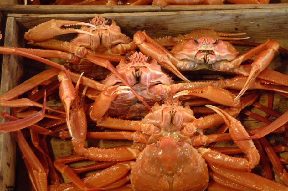 【90分飲放付】紅ズワイガニ一杯付き釜七めぐり　コース(全8品) 通常5500円を→限定価格4500円2名様より  糸魚川産の紅ズワイガニを1人一杯、贅沢に食せるコースとなっております。新潟県沖の真鯛や新潟の地鶏・越乃鶏などの新潟食材も勢ぞろいのかましち宴会コース!!