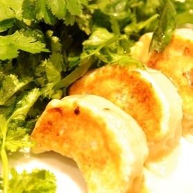 パクチー焼き餃子