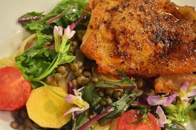 【季節限定！チキンのサラダ風パスタ】レンズ豆のサラダとチキンのグリル、ピィネグレットソース