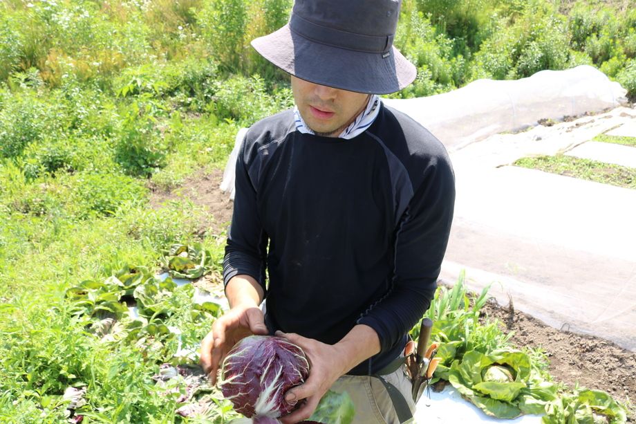 顔のしっかり見える生産者から届く安心安全な食材。　無農薬で化学肥料を用いずに栽培の美味い野菜