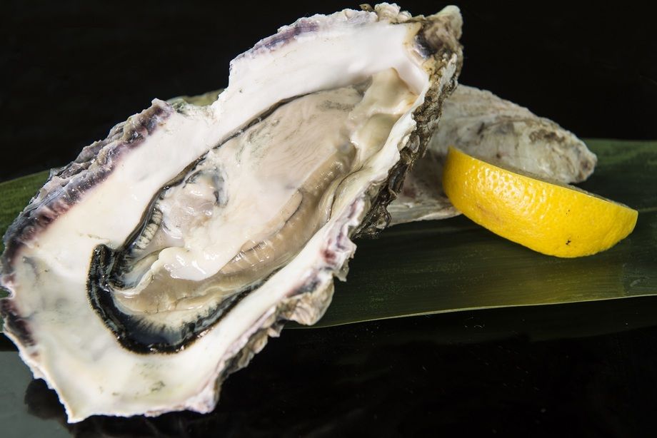 シェフ厳選 産地直送 活岩牡蠣　活殻付生牡蠣の冷たいオードヴル（ランチ・ディナー：２，２００円（消費税・サービス料込））