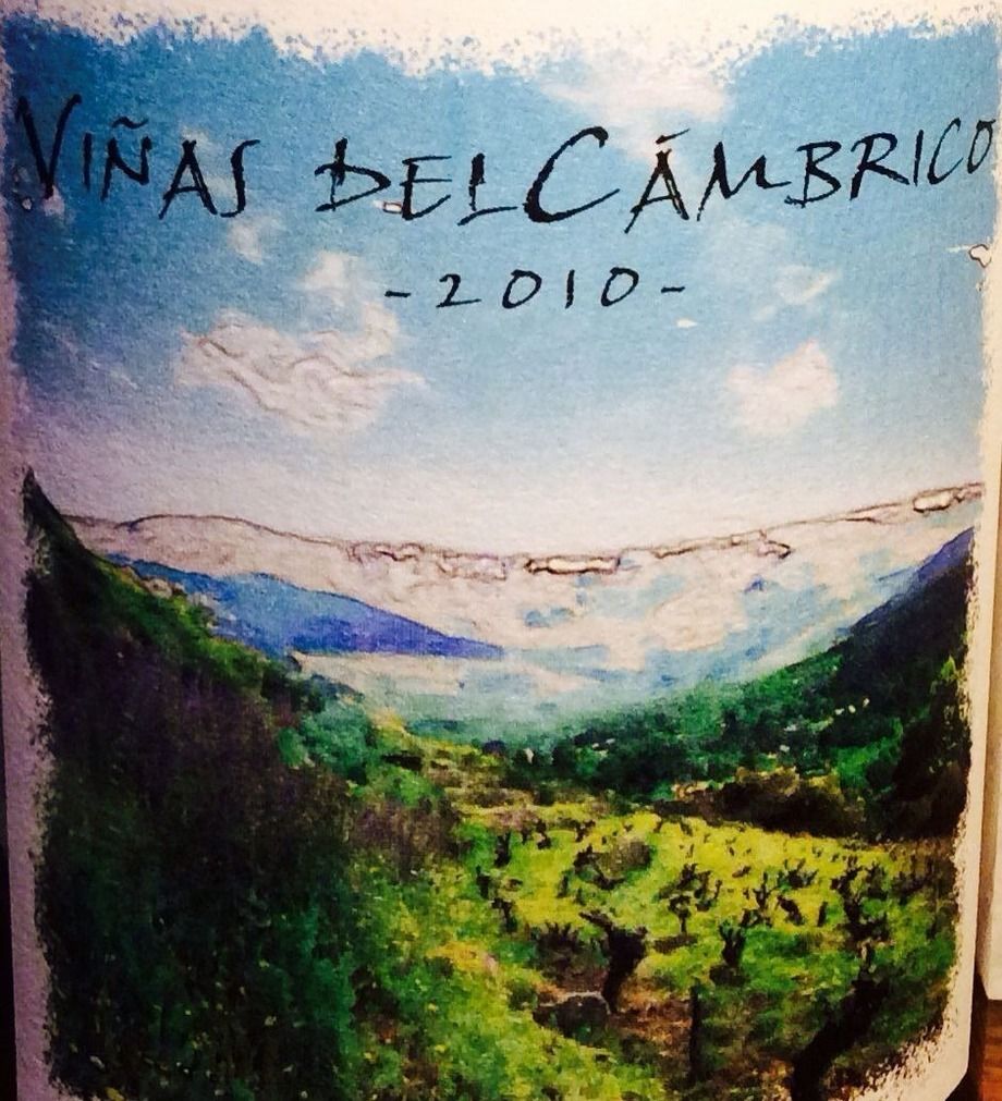 【オーガニック認証】ヴィニャス・デル・カンブリコ（7,200円）