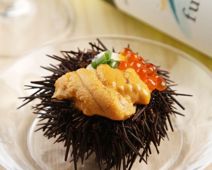 至福のウニパンナコッタ