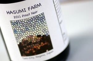 長野はすみふぁーむ産巨峰100％ジュースorソーダ（480円）