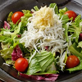 生姜としらすのサラダ