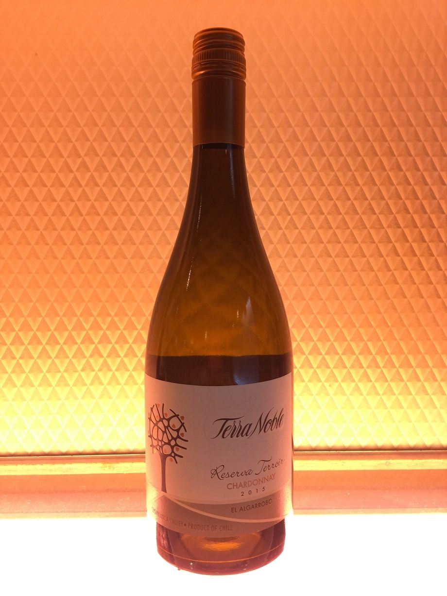 テラノブレ(白)（10000円）