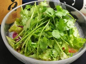 フレッシュパクチーサラダ