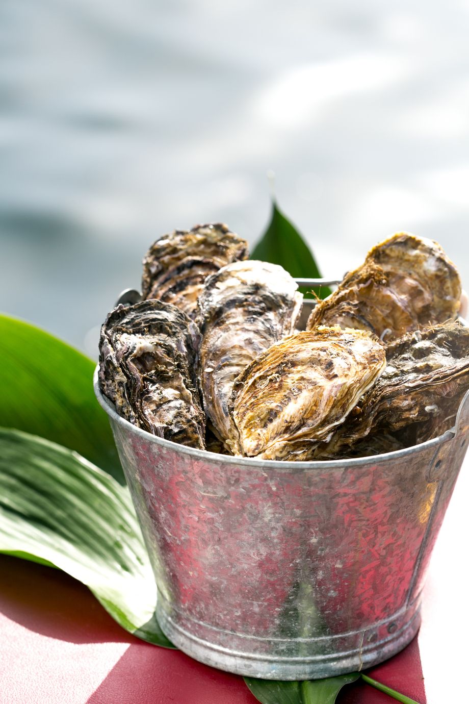 草津かき　1バケツ（2800円）