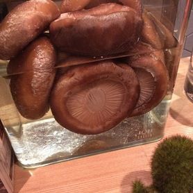 特大しいたけ炙り