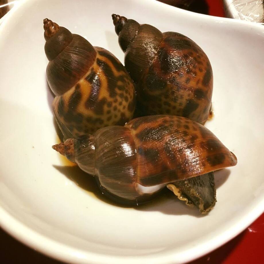 島根県産ばい貝煮付け（500）