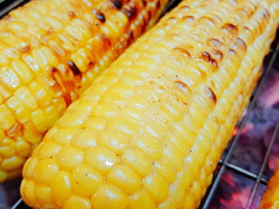 北海道産  とうもろこし炭焼き（¥880）