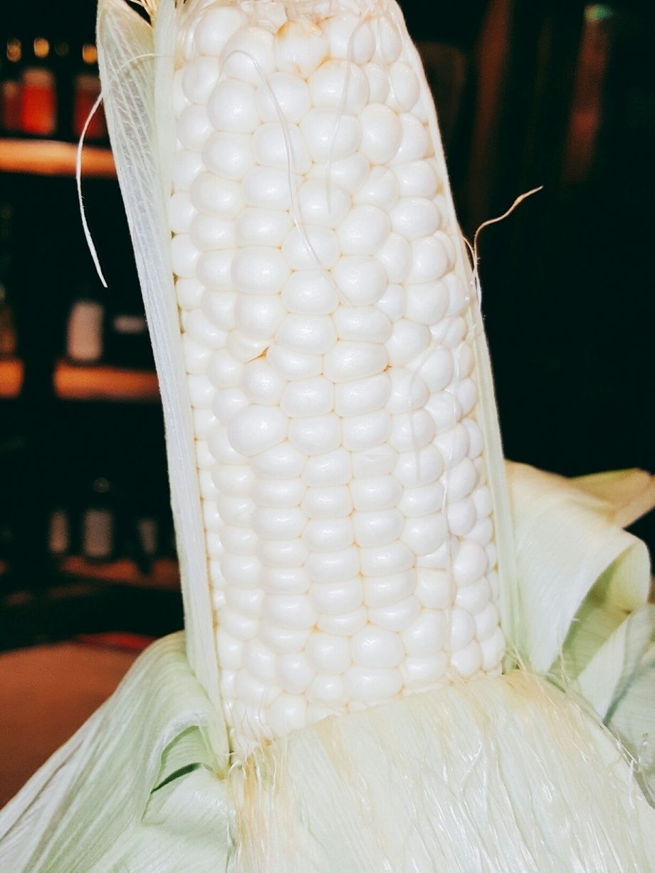 北海道産  とうもろこし  ピュアホワイト（¥980）